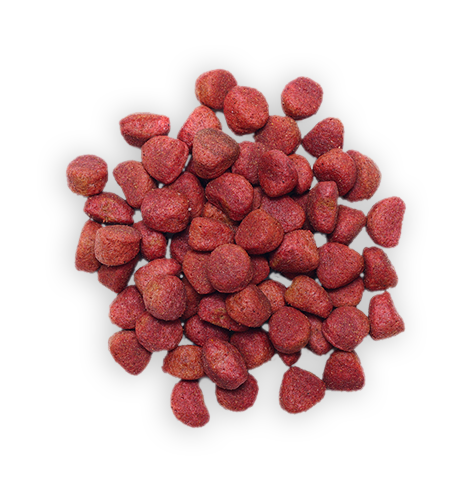 Dog Food 4 Dog Food 4