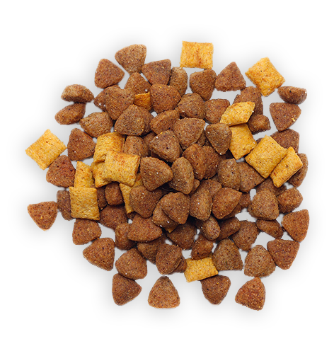 Dog Food 6 Dog Food 6